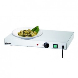 Plaque chauffante WP250