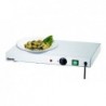 Plaque chauffante WP250