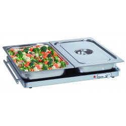 Plaque chauffante WP300 2/1