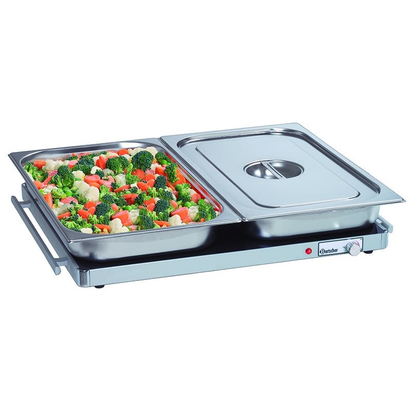 Plaque chauffante WP300 2/1