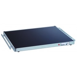 Plaque chauffante WP300 2/1