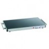 Plaque chauffante WP150 1/1