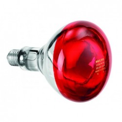 Ampoule infrarouge IWL250D