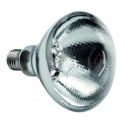 Lampe infrarouge IWL250D-WS