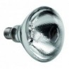 Lampe infrarouge IWL250D-WS