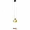 Lampe chauffante IWL250D GO
