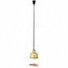 Lampe chauffante IWL250D GO