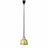 Lampe chauffante IWL250D GO
