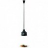 Lampe chauffante IWL250D SW