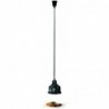 Lampe chauffante IWL250D SW