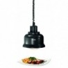 Lampe chauffante IWL250D SW