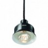 Lampe chauffante IWL250D SW